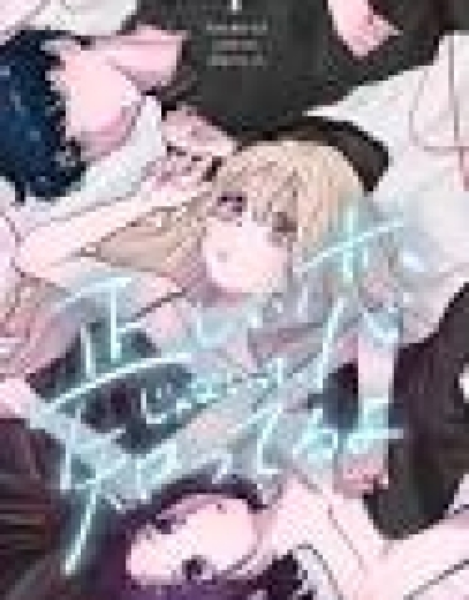 I Know It's Not the Right Kind of Love