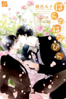 Rose Petals Rose Petals