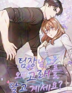 Team Leader, Why Are You Carrying a Whale?