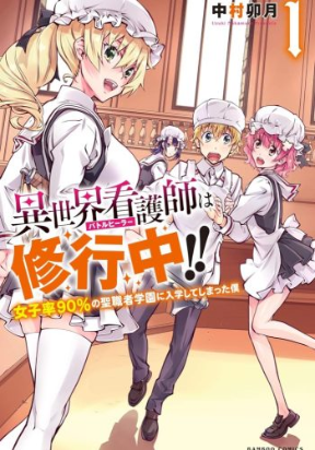 Battle Healers: The Adventure Tale of a Boy with Big Dreams