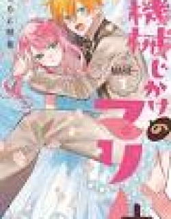 Kikaijikake no Marie +
