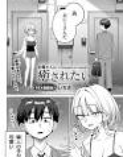 I Want to Be Comforted by My Neighbor