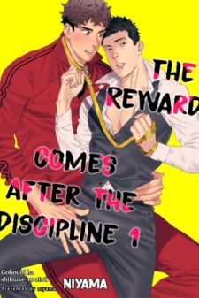 The Reward Comes After The Discipline The Reward Comes After The Discipline