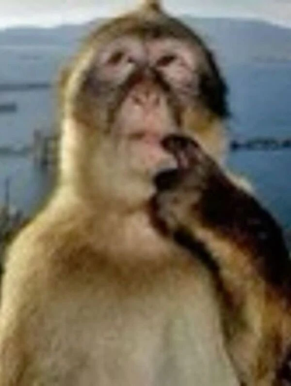 Futuristic expectations (official)