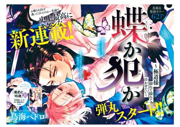 Chouka-han ka - Gokudou-sama Afurete Afurete Naka Setai