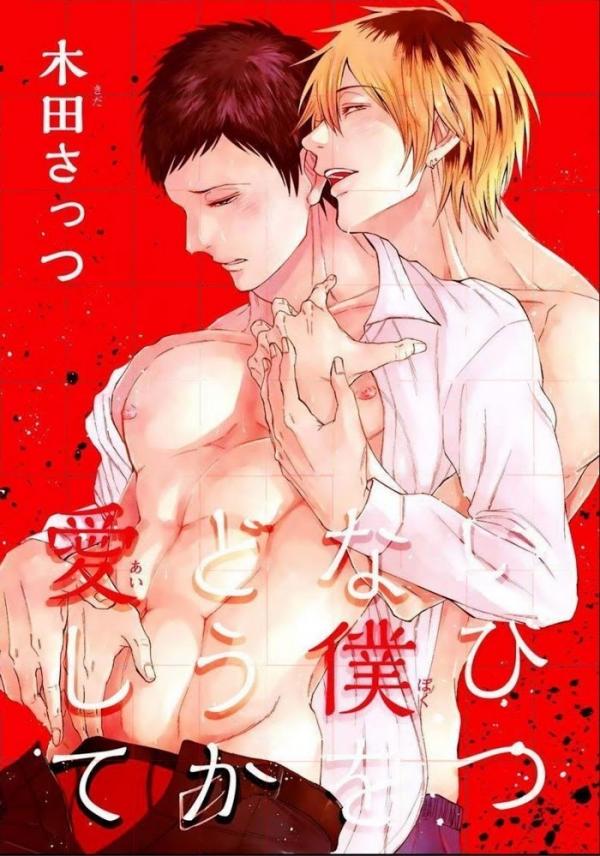 Ibitsu na Boku wo Douka Aishite Ibitsu na Boku wo Douka Aishite