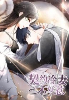 Don't Provoke the Contract Wife