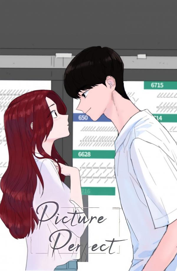 Picture Perfect Picture Perfect