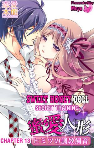 Sweet Honey Doll -Secret Training- Sweet Honey Doll -Secret Training-