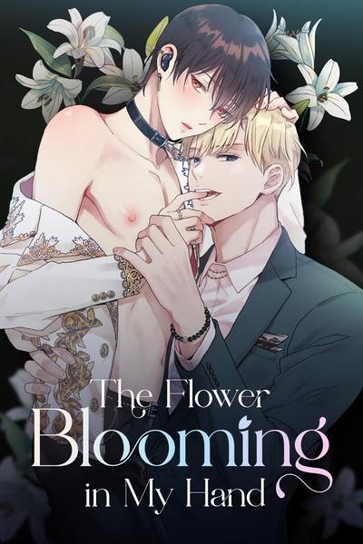 The Flower Blooming in My Hand (Official) The Flower Blooming in My Hand (Official)