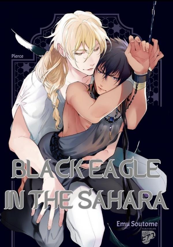 Black Eagle in the Sahara Black Eagle in the Sahara