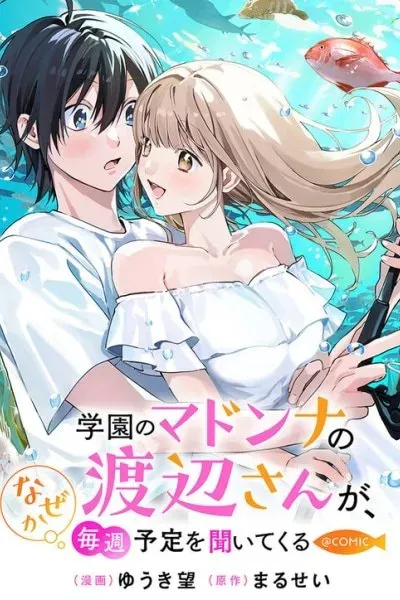 Gakuen no Madonna no Watanabe san ga, Naze ka Maishu Yotei wo Kitekuru