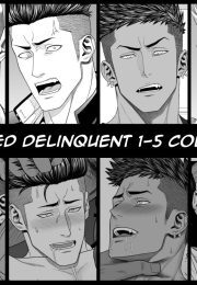 [Okazaki Shinichi] Reformed Delinquent Collection [Eng]