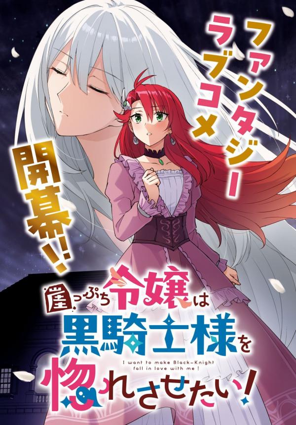 The Noble Lady on the Edge of the Cliff Wants to Make the Dark Knight Fall in Love! The Noble Lady on the Edge of the Cliff Wants to Make the Dark Knight Fall in Love!