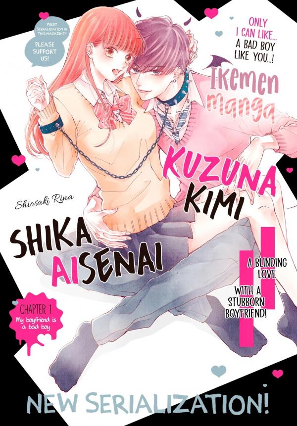 Kuzuna kimi shika aisenai