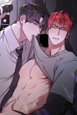 Voice Love Voice Love