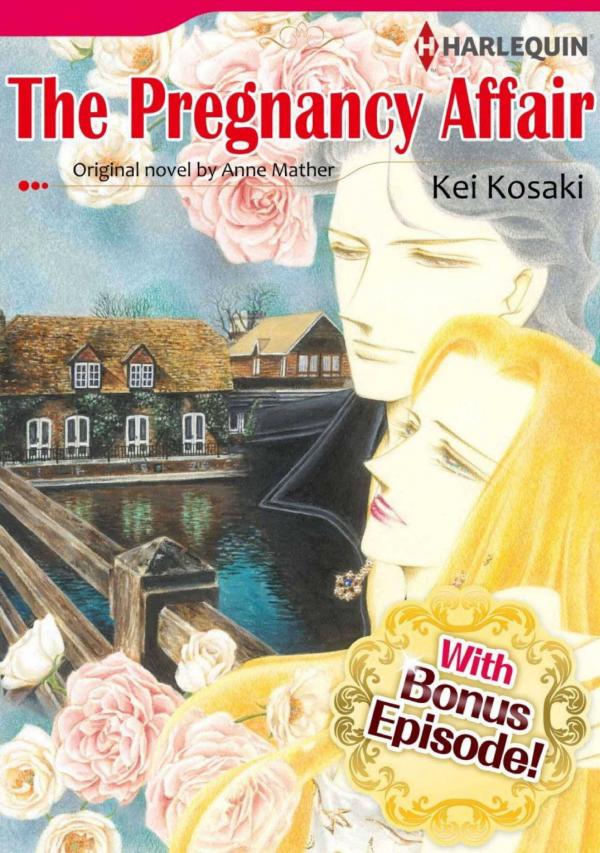 The Pregnancy Affair The Pregnancy Affair