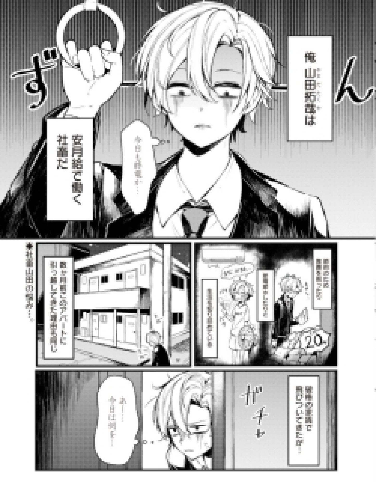 The Stranger in My House