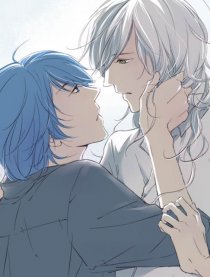 Shades Captor Shades Captor