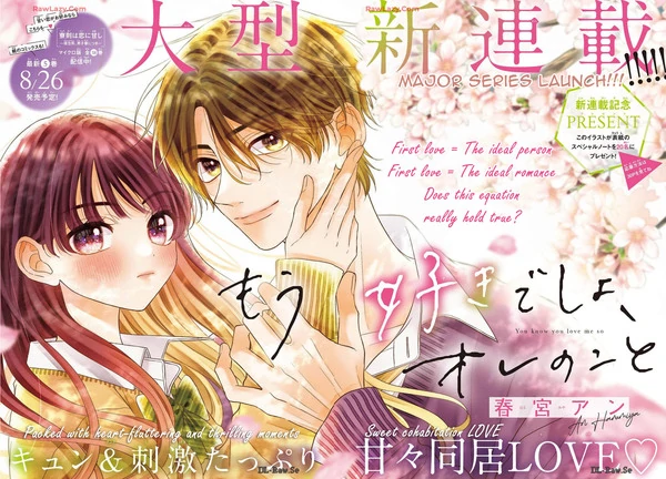 Mou Suki desho, Ore no Koto