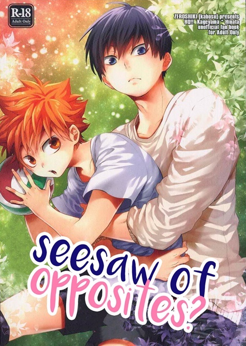 Seesaw of opposites? Seesaw of opposites?