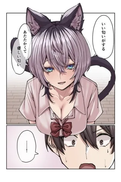 A Story About Accidently Learning 