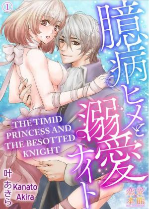 Okubyo Hime To Dekiai Knight