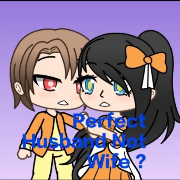 Perfect Husband Not Wife