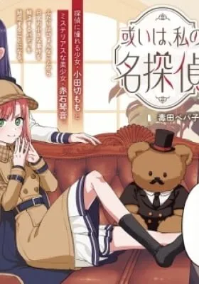 Aruiwa, Watashi no Meitantei