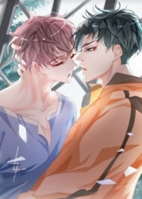 Don	 Provoke Reborn-Ed Bamboo Horse