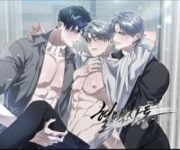 Blood Vessel Connection Blood Vessel Connection