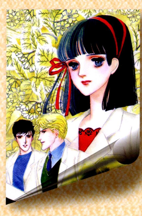 Bodaiju / Linden Tree Bodaiju / Linden Tree