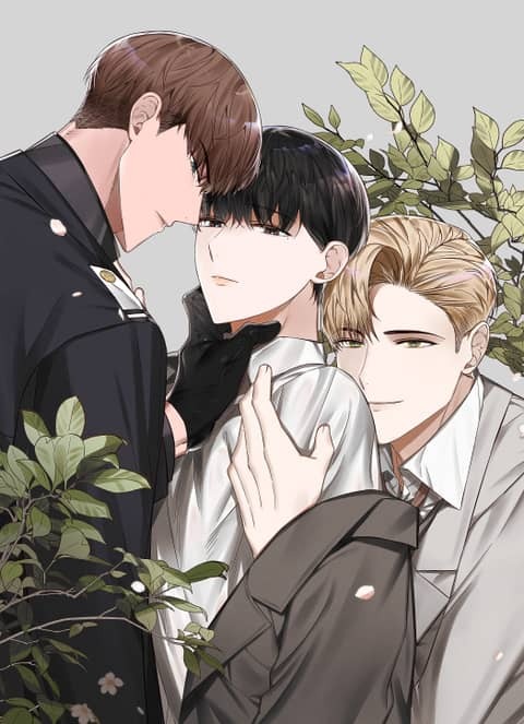 Hwadae Hwadae