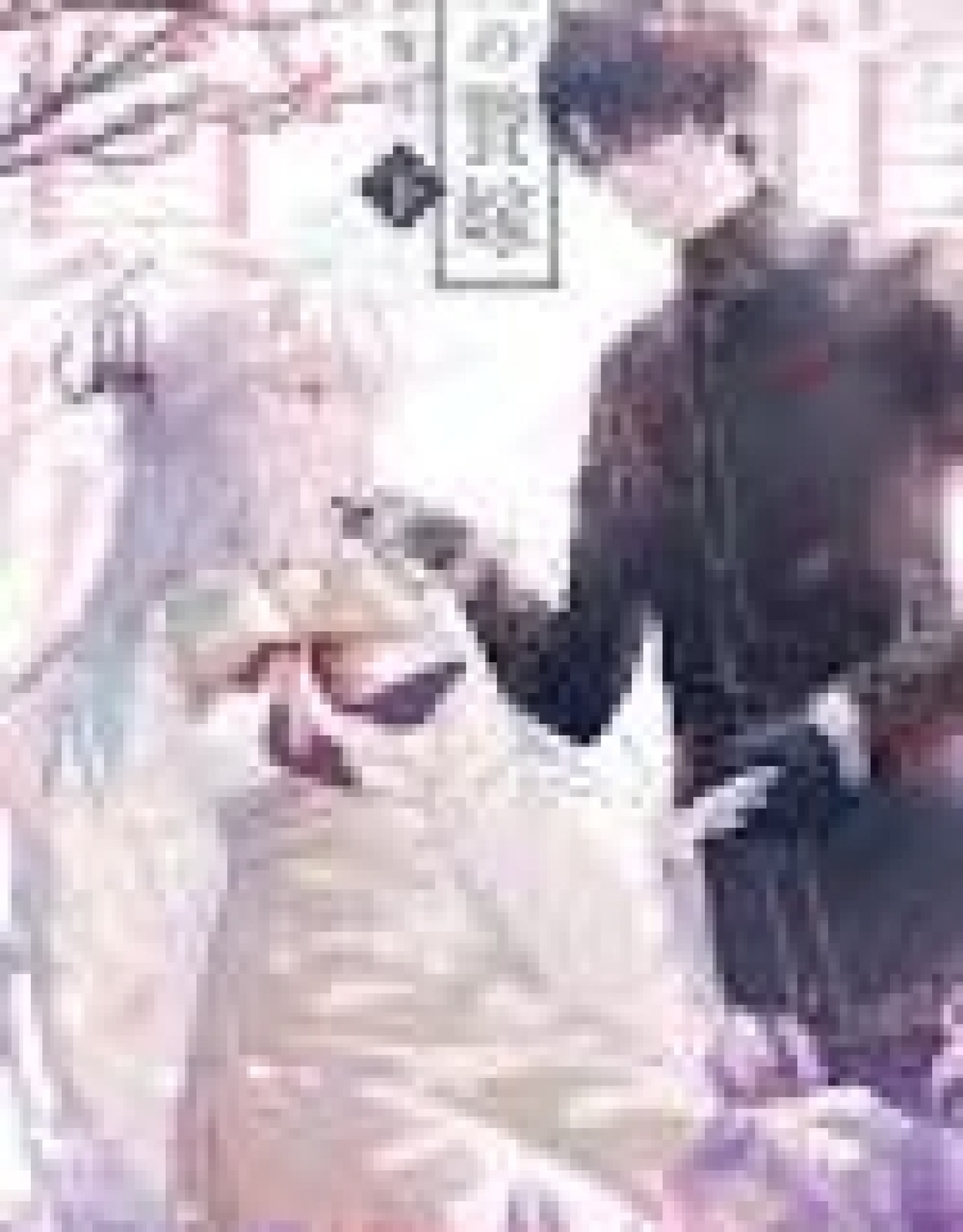 The Dragon's Bride: Loved as His Fated Mate.