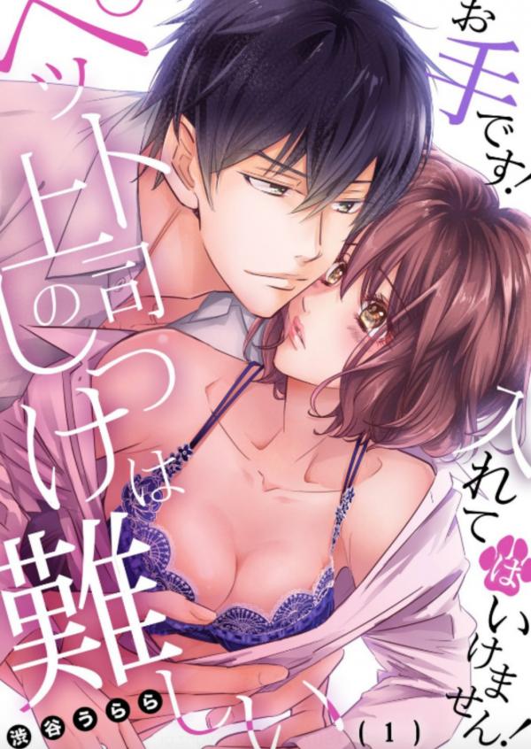 Pet Joushi no Shitsuke ha Muzukashii Ote desu! Ireteha Ikemasen Pet Joushi no Shitsuke ha Muzukashii Ote desu! Ireteha Ikemasen