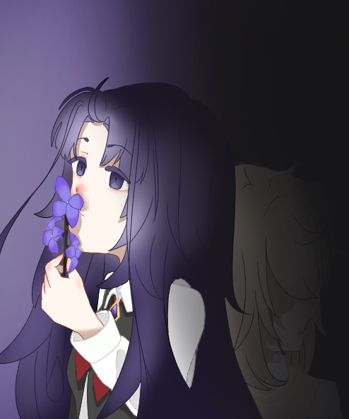 The Healing Process of a Wound