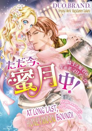 Tadaima, Mitsugetsu Chu! Kishi to Himegimi No Toshi No Sa Marriage