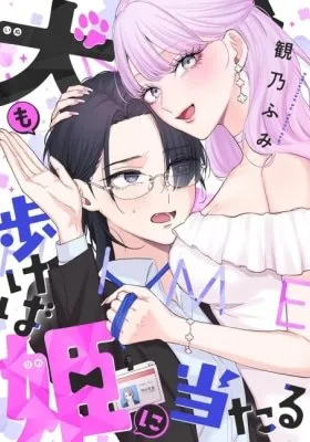 Even a Dog Might Stumble Upon a Princess