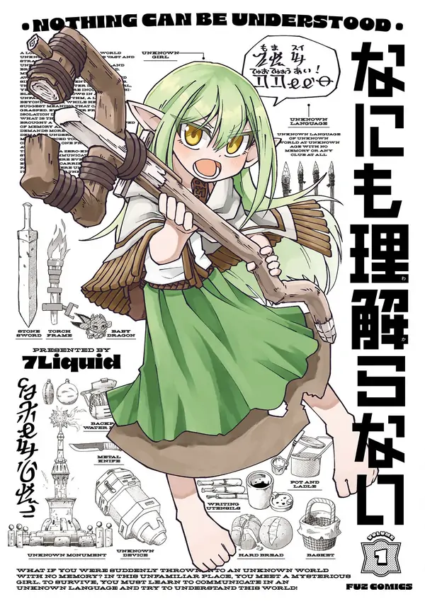 Nothing Can Be Understood