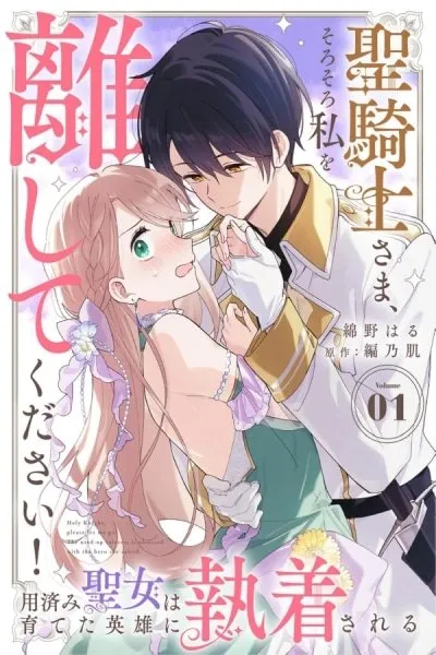 Holy Knight, Please Let Me Go Already!