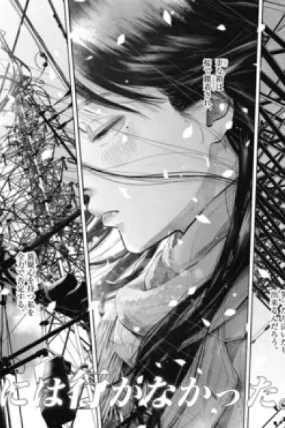 I Didn't Go to The Graduation Ceremony.