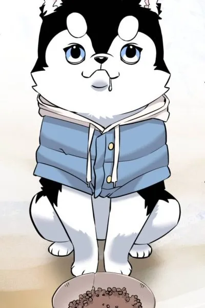 Joseon Husky