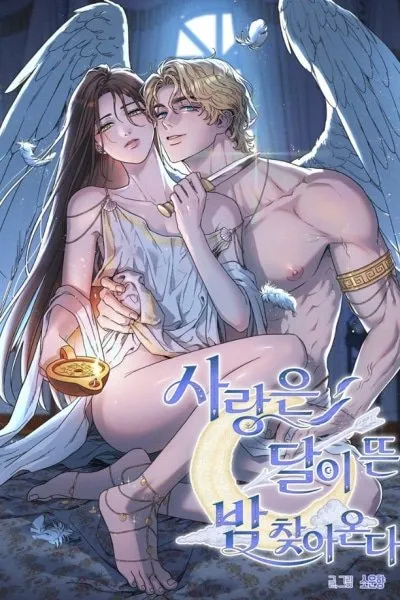 Love Comes In The Night Of The Moon