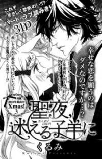 A Holy Night To The Lost Lamb