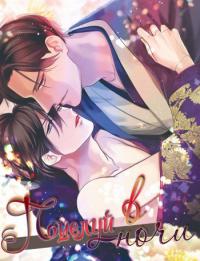 Kiss and Night Kiss and Night