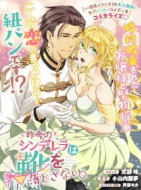 Cinderella Did Not Leave Her Shoe