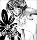 Flower Garden Special Review Flower Garden Special Review
