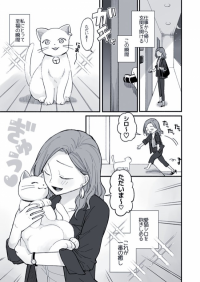 Office Lady and Cat Office Lady and Cat