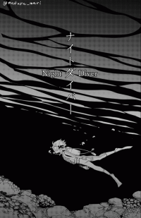 Night Diver