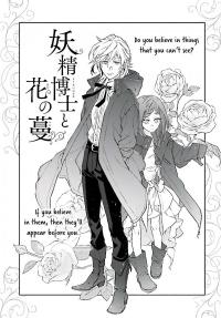 Fairy Doctor and Flower Vine